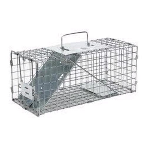 Rental store for trap 12 inch single door animal in STOREAREA2
