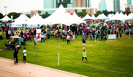 Rental store for fence t post string pvc in STOREAREA2